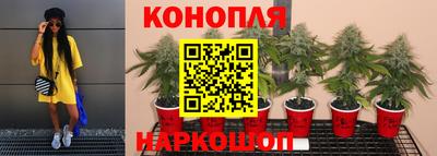 spice Новокубанск