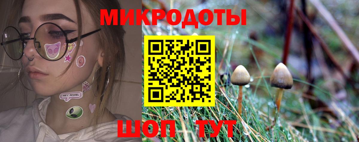 Галлюциногенные грибы ЛСД  Галлюциногенные грибы Cubensis  Вход с VPN  купить  цена  Отрадный 