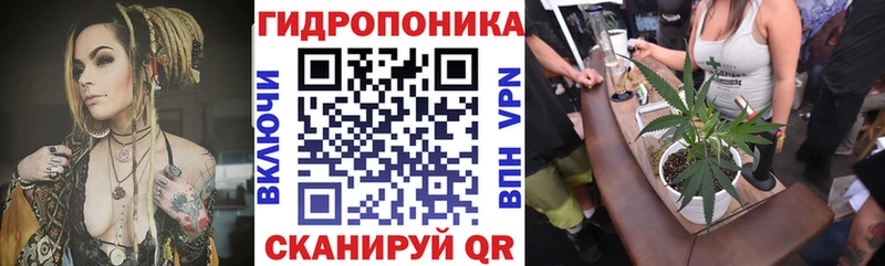Шишки марихуана THC 21%  darknet наркотические препараты  Отрадный 