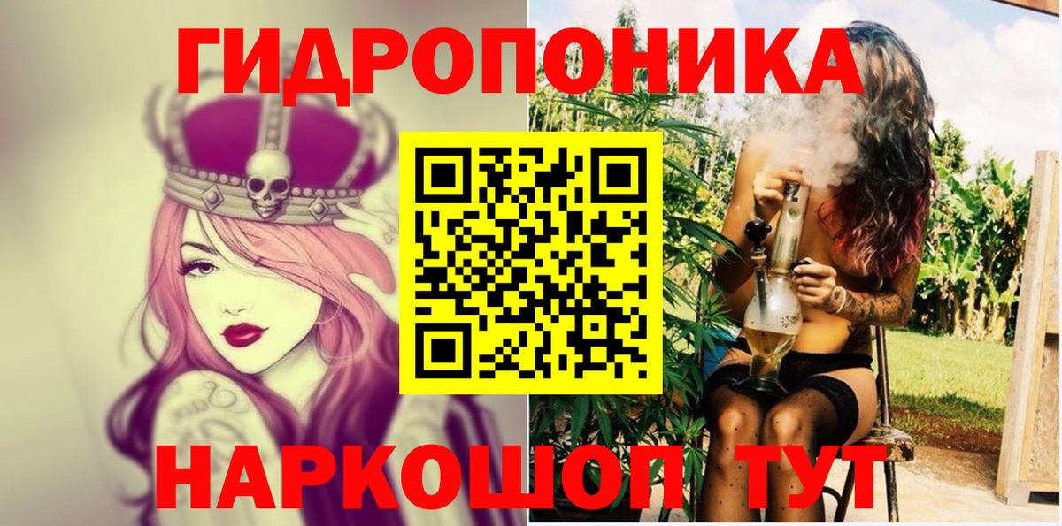 Шишки марихуана сатива Отрадный
